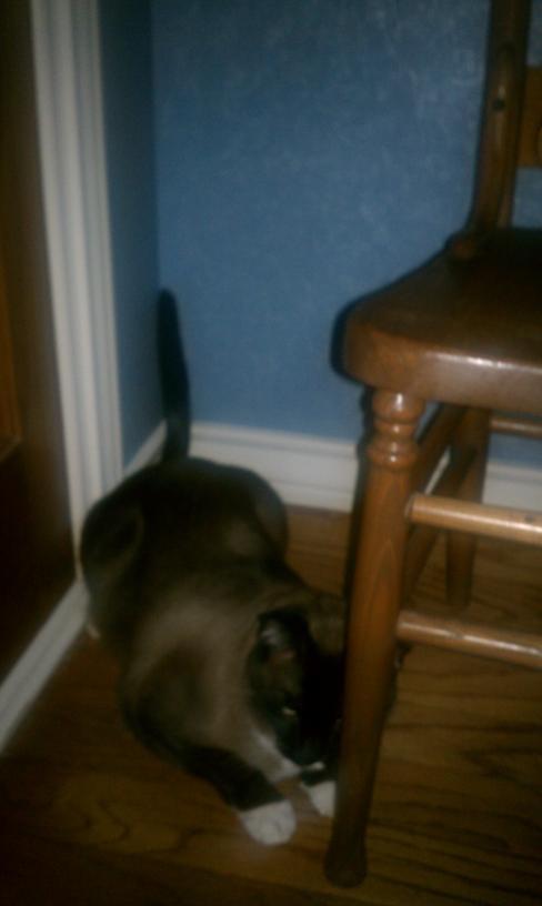 click for larger size