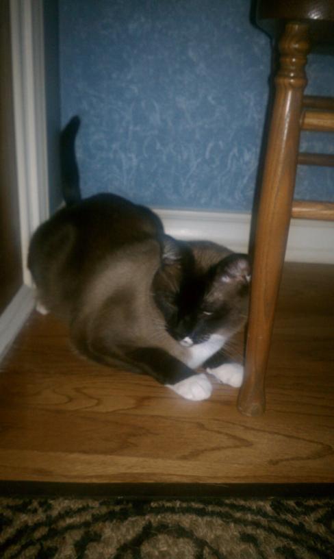 click for larger size