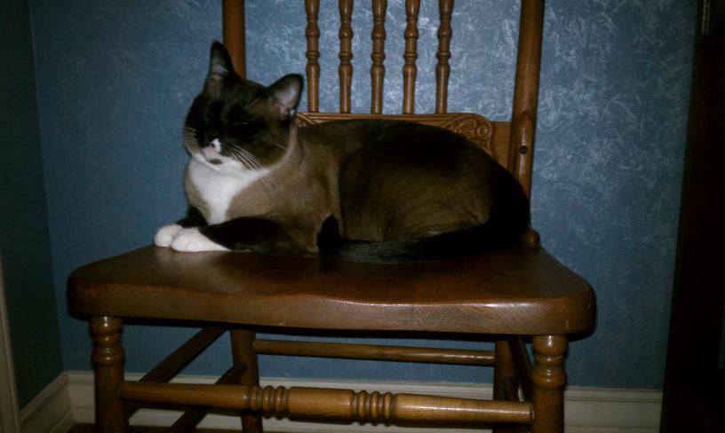 click for larger size