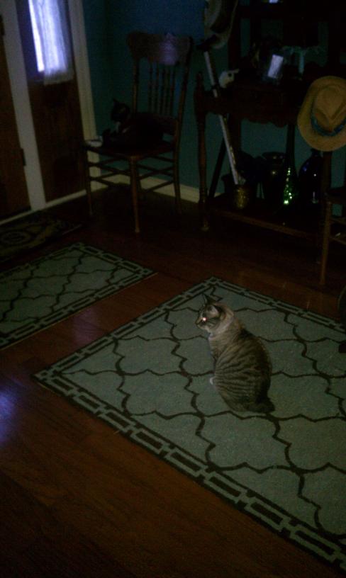 click for larger size