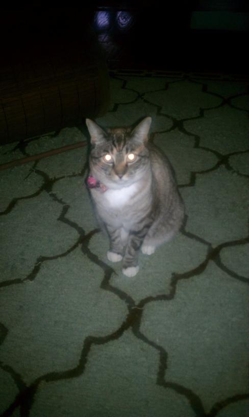 click for larger size