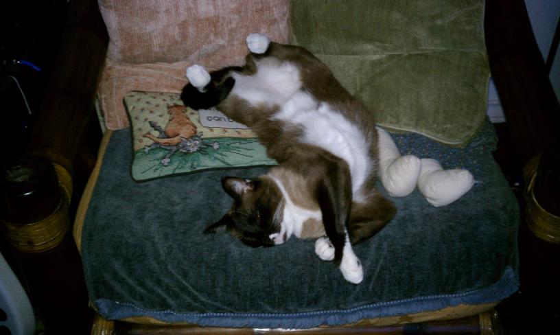 click for larger size