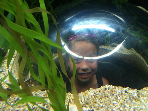 click for larger size