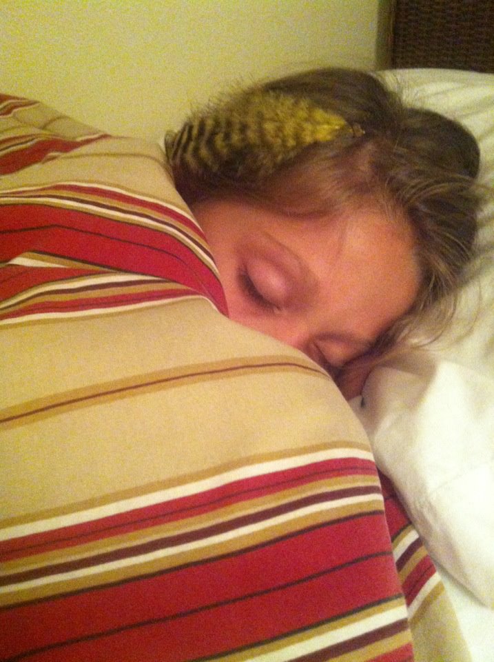 click for larger size