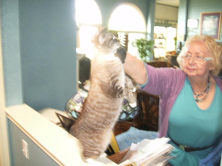 click for larger size