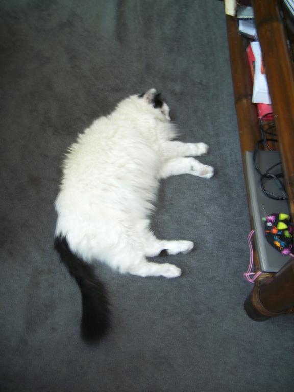 click for larger size