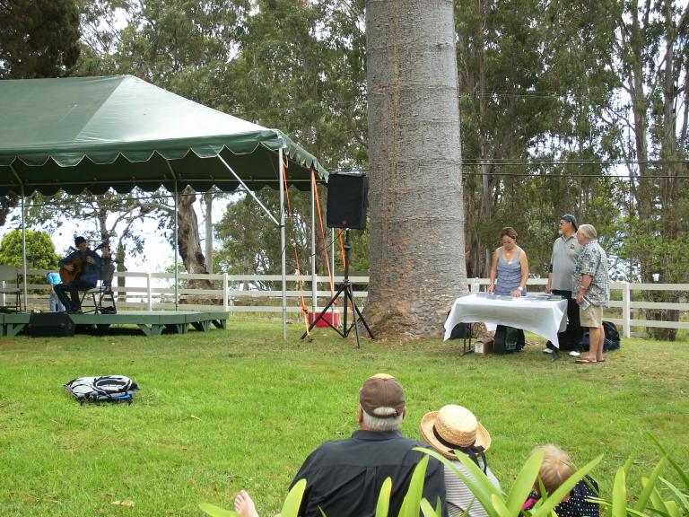 click for larger size