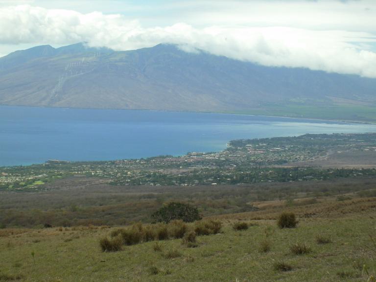 click for larger size