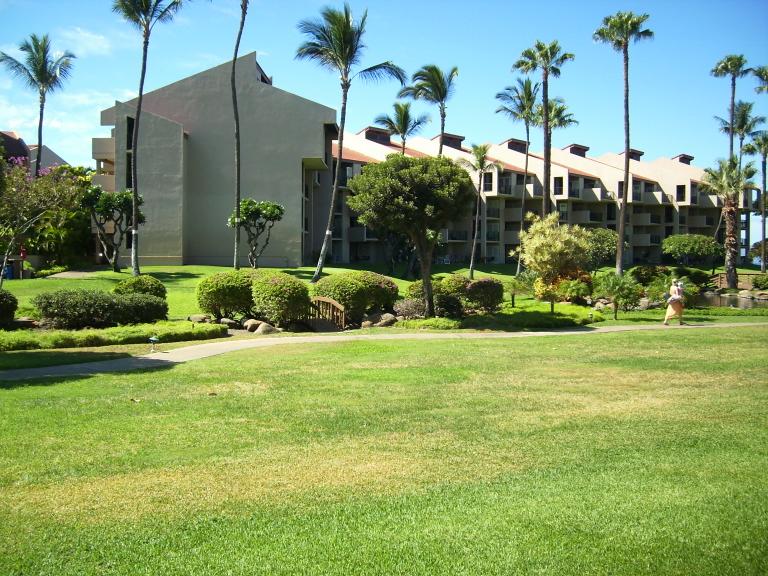 click for larger size