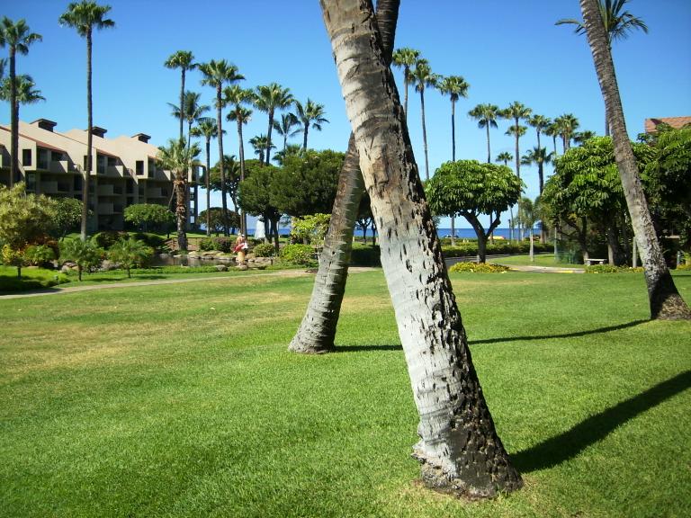 click for larger size