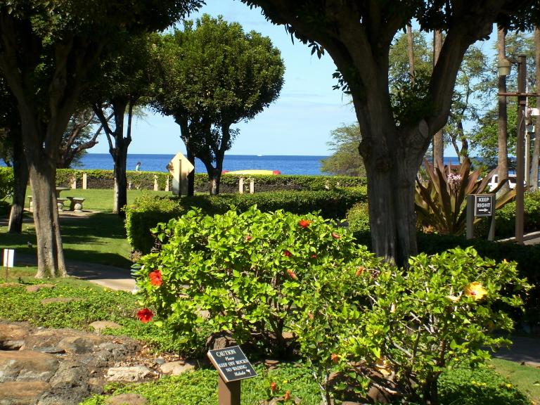 click for larger size