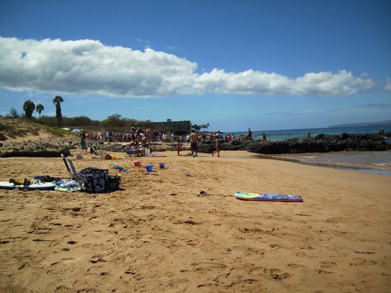 click for larger size