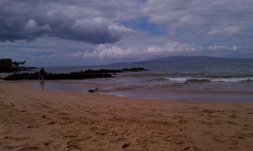 click for larger size