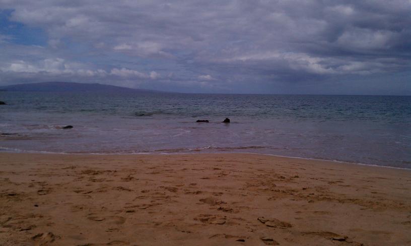 click for larger size