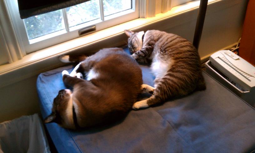 click for larger size