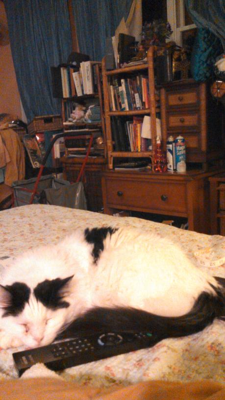 click for larger size