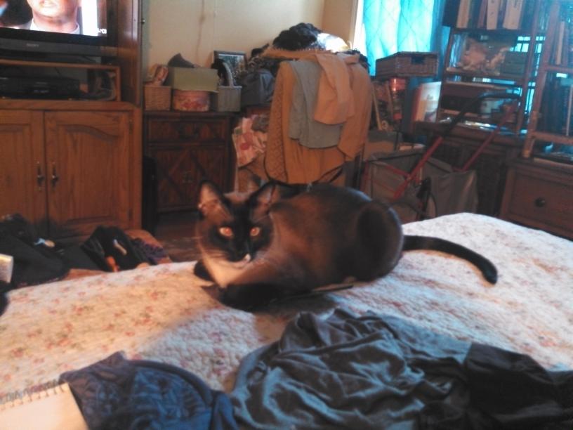 click for larger size