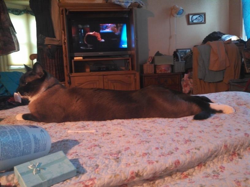 click for larger size