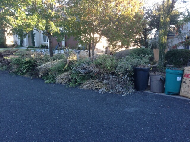 click for larger size