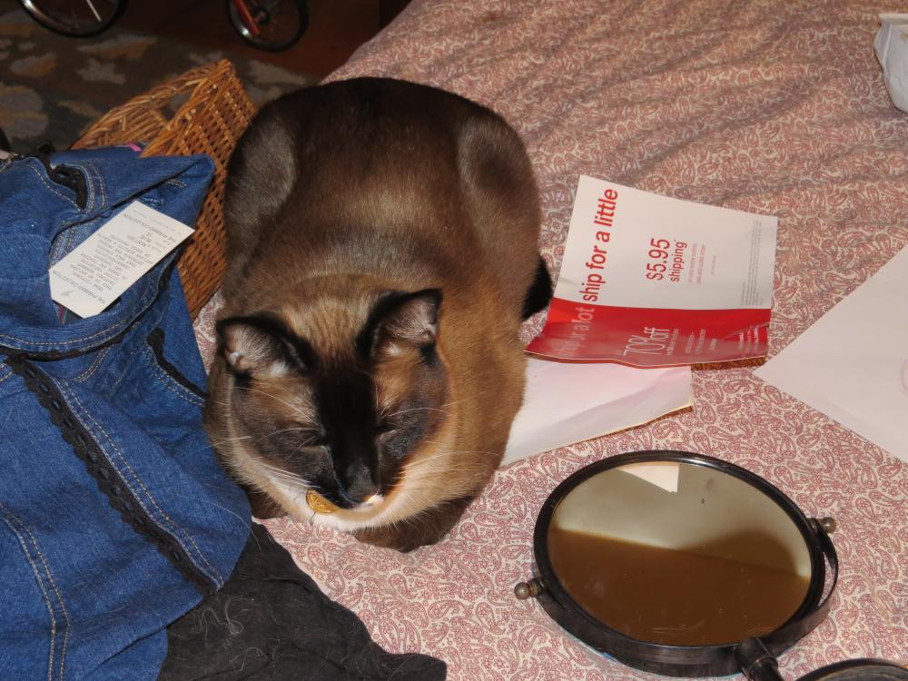 click for larger size