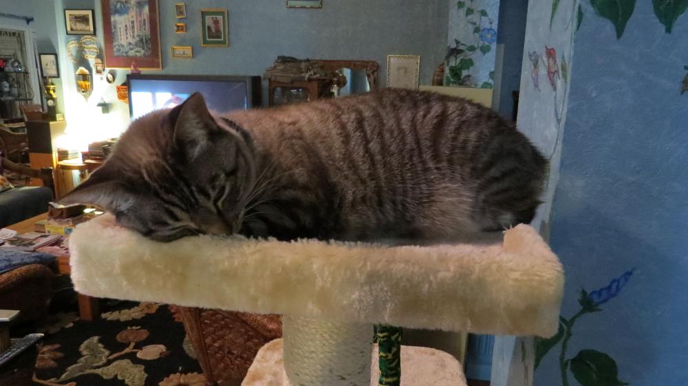 click for larger size