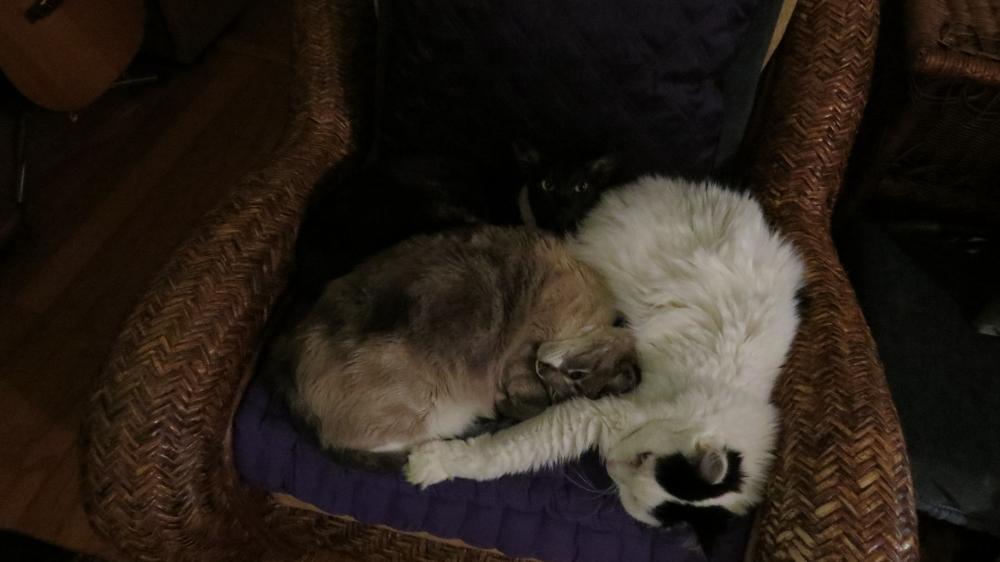 click for larger size