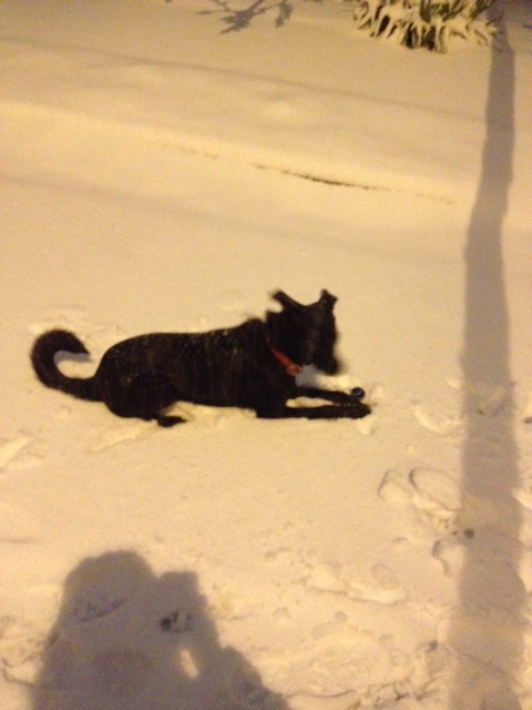 click for larger size