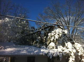 click for larger size