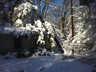 click for larger size