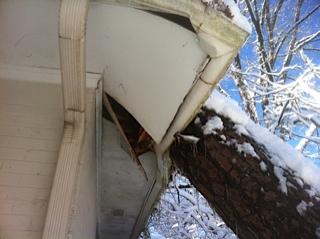 click for larger size