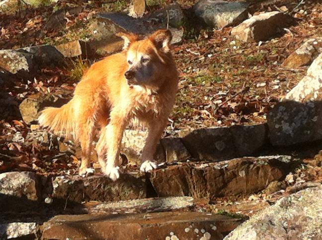 click for larger size