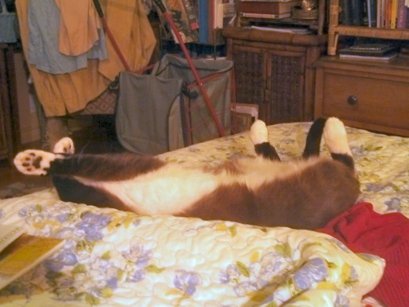 click for larger size