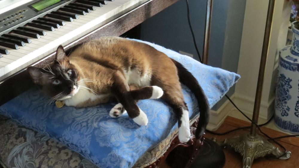 click for larger size