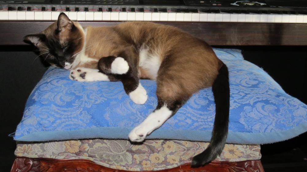 click for larger size