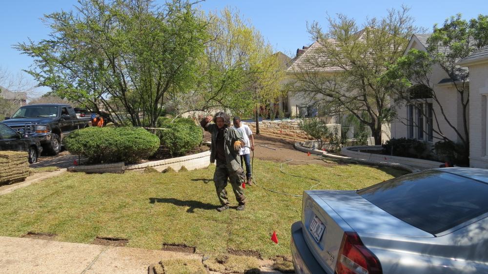 click for larger size