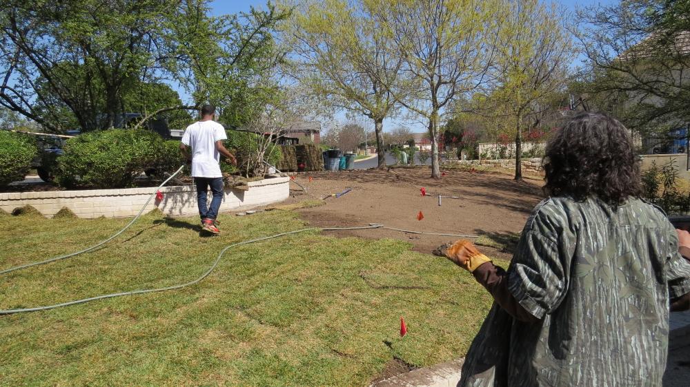 click for larger size