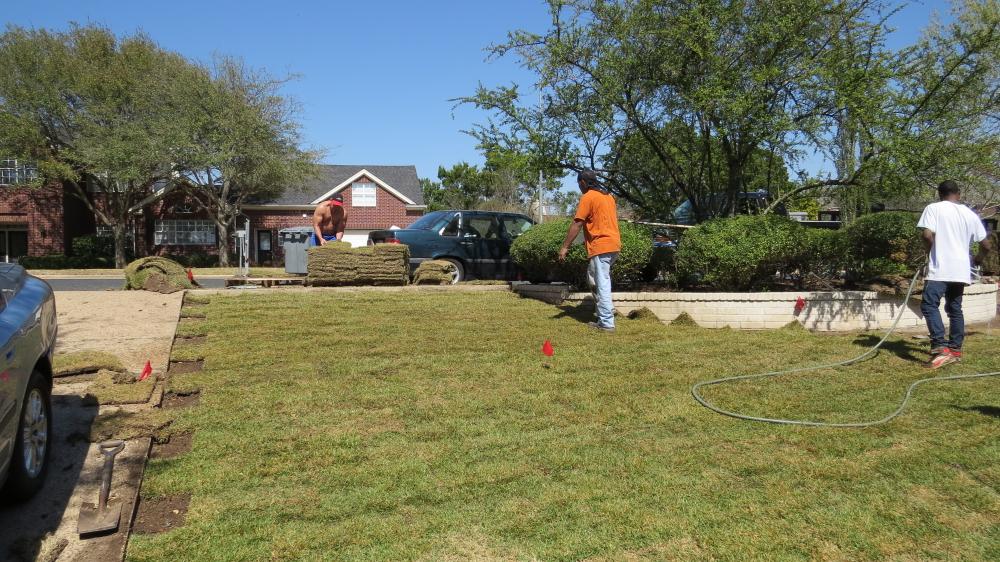 click for larger size