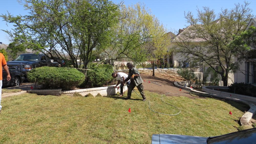 click for larger size