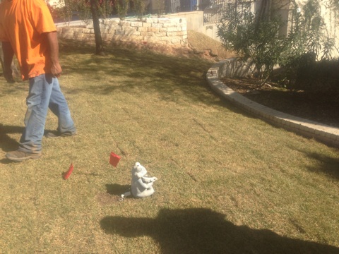 click for larger size