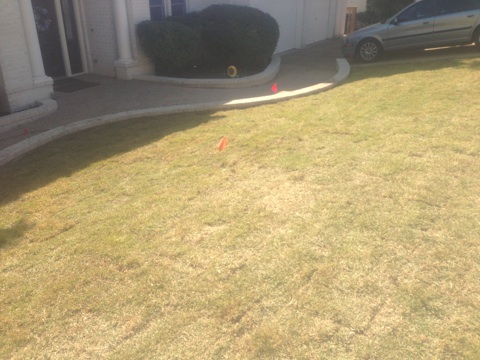 click for larger size