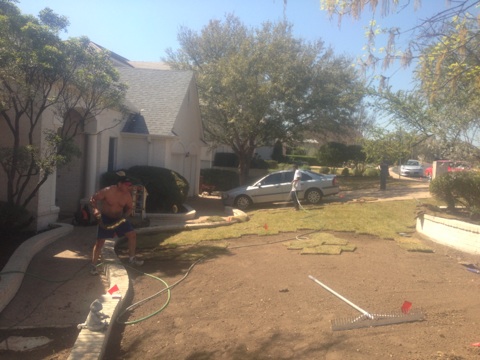 click for larger size