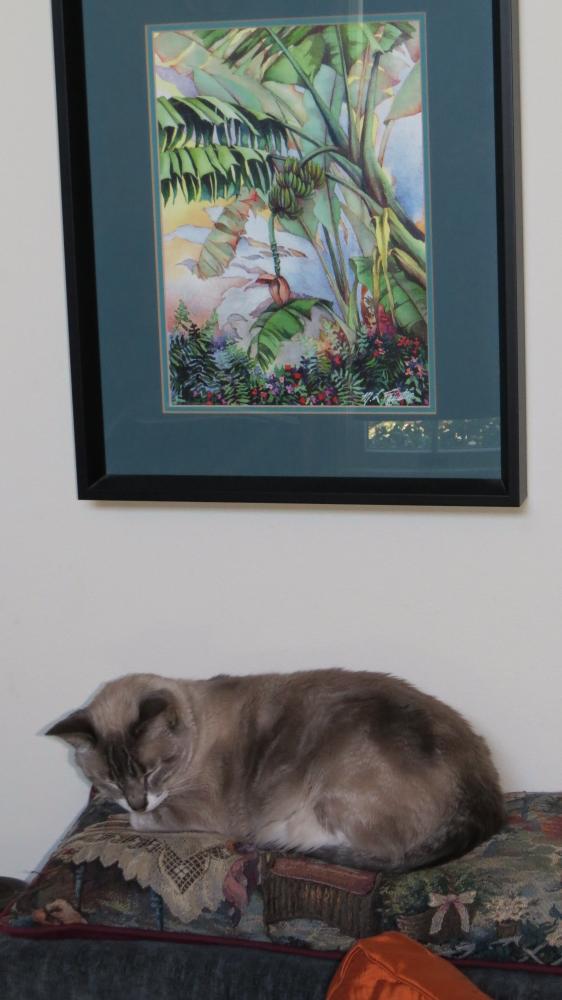 click for larger size