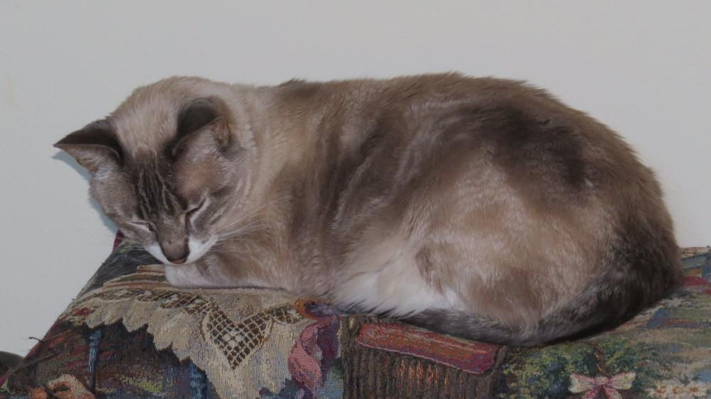 click for larger size