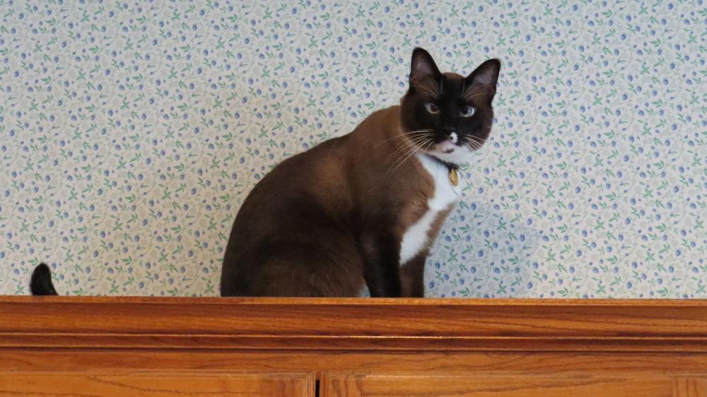 click for larger size