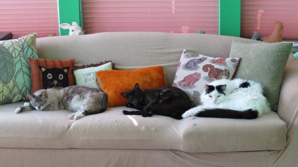 click for larger size