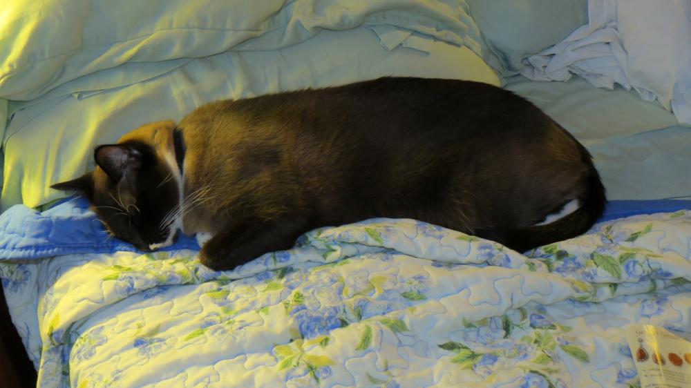 click for larger size