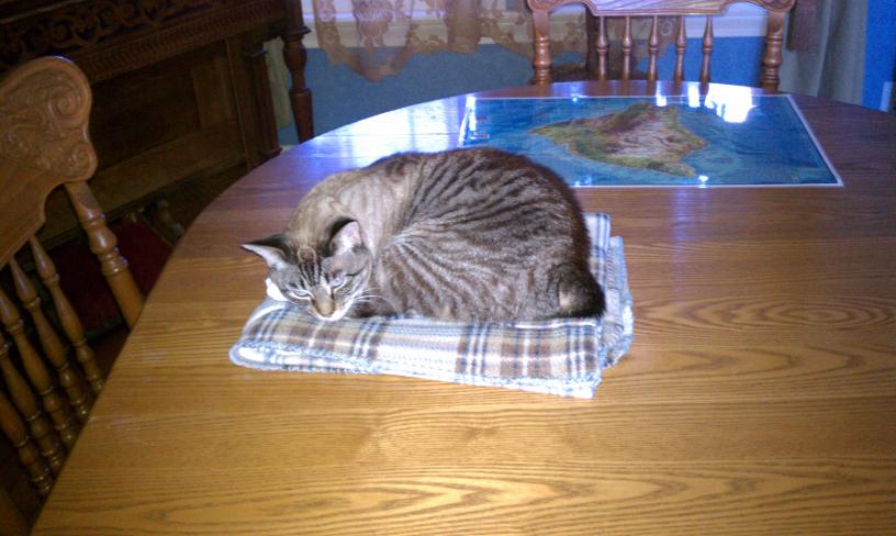 click for larger size