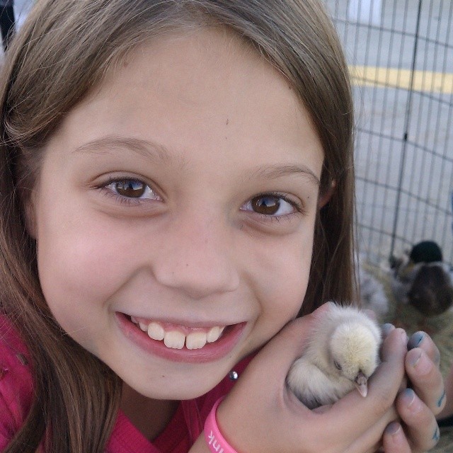 click for larger size