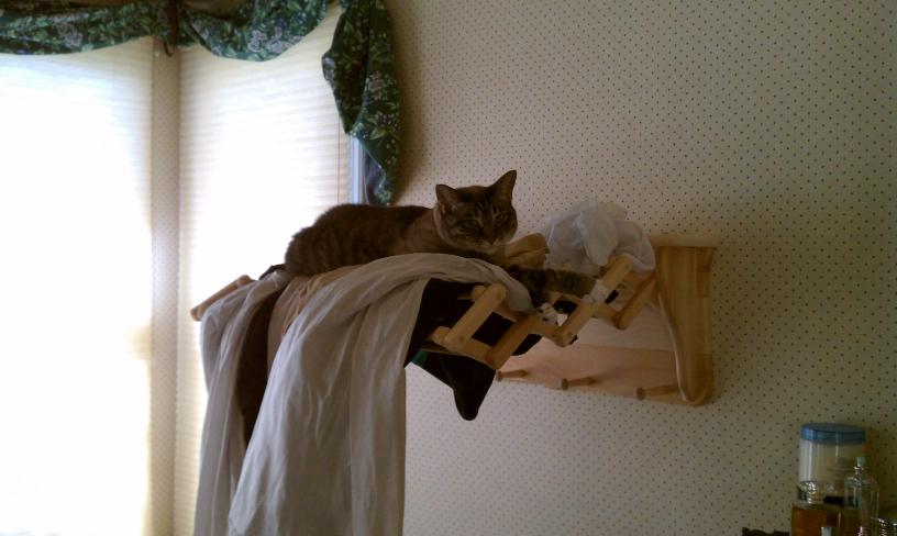 click for larger size