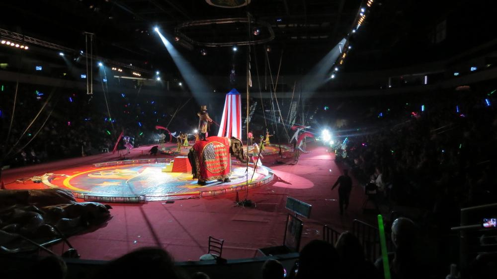 click for larger size